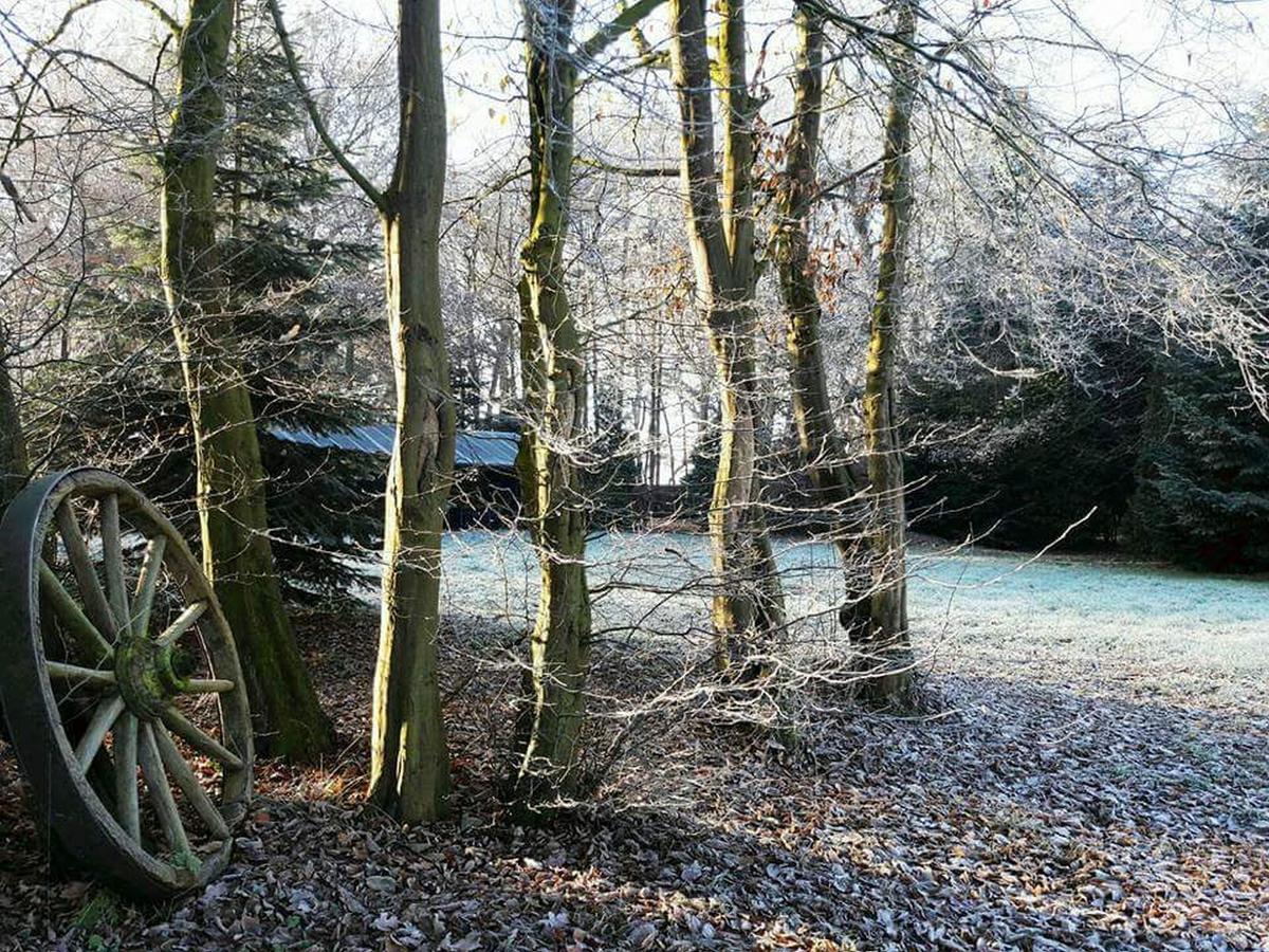Zur Schanze Holtgast-Apen Exterior photo